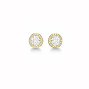 Gold framed diamond stud earrings 