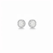 Lumière Halo Stud Earrings — Silver