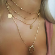 Gold horseshoe layering chains 